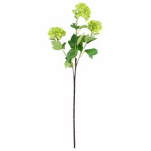 Load image into Gallery viewer, Leaf Design UK LTD - Artificial Foliage Viburnum Spray 70cm - Strelitzia's Florist & Irish Craft Shop