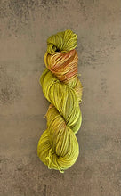 Load image into Gallery viewer, Die Wollwichtel - DINOSAURS, hand-dyed wool, as a strand - Strelitzia's Florist & Irish Craft Shop