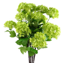 Load image into Gallery viewer, Leaf Design UK LTD - Artificial Foliage Viburnum Spray 70cm - Strelitzia's Florist & Irish Craft Shop