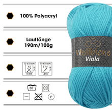 Load image into Gallery viewer, Wollbiene - Wool Bee Viola Knitting Yarn 100g Crochet Knitting Solid - Strelitzia's Florist & Irish Craft Shop