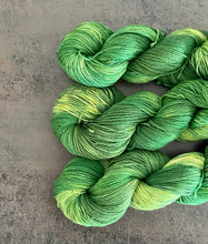 Load image into Gallery viewer, Die Wollwichtel - FAUNA, hand-dyed sock wool in a skein - Strelitzia's Florist & Irish Craft Shop