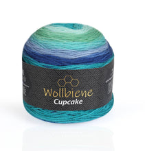 Load image into Gallery viewer, woolen bee cupcake gradient wool knitting wool 150g: 3040 rainbow - Strelitzia's Florist & Irish Craft Shop
