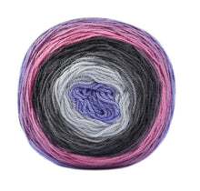 Load image into Gallery viewer, woolen bee cupcake gradient wool knitting wool 150g: 3040 rainbow - Strelitzia's Florist & Irish Craft Shop