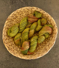 Load image into Gallery viewer, Die Wollwichtel - DINOSAURS, hand-dyed wool, as a strand - Strelitzia's Florist & Irish Craft Shop