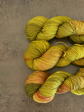 Load image into Gallery viewer, Die Wollwichtel - DINOSAURS, hand-dyed wool, as a strand - Strelitzia's Florist & Irish Craft Shop