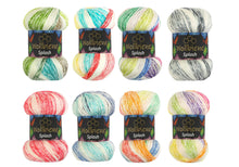 Load image into Gallery viewer, Woolbee splash antipilling wool gradient 100g multicol: 7050 - Strelitzia's Florist & Irish Craft Shop