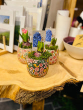Load image into Gallery viewer, Hyacinth -  bulbs in quirky printed pot - Single - Strelitzia&#39;s Floristry &amp; Irish Craft Shop