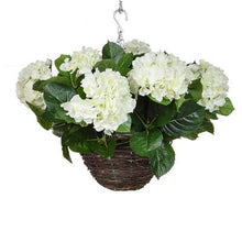Load image into Gallery viewer, Hydrangea Hanging Baskets 30cm - Strelitzia&#39;s Floristry &amp; Irish Craft Shop