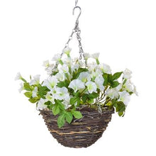 Load image into Gallery viewer, Petunia Hanging Baskets 35cm - Strelitzia&#39;s Floristry &amp; Irish Craft Shop