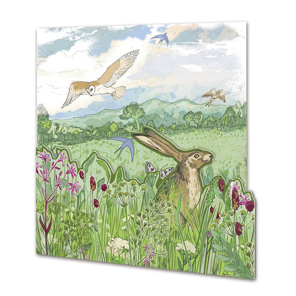 Emma Ball Ltd - Meadow Die Cut Card - Strelitzia's Florist & Irish Craft Shop