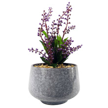 Load image into Gallery viewer, Leaf Design UK LTD - Ceramic Planter Office Desk Plant Purple Vitex Negundo 28cm - Strelitzia&#39;s Florist &amp; Irish Craft Shop