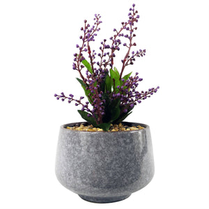 Leaf Design UK LTD - Ceramic Planter Office Desk Plant Purple Vitex Negundo 28cm - Strelitzia's Florist & Irish Craft Shop