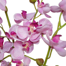 Load image into Gallery viewer, Leaf Design UK LTD - Artificial Orchid Flower 60cm Pink Orchid Arrangement