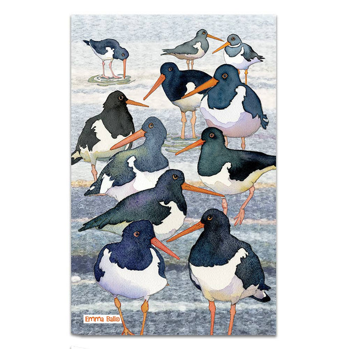 Emma Ball Ltd - Oystercatchers Tea Towel - Strelitzia's Florist & Irish Craft Shop