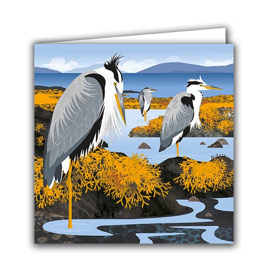 Blank Greeting Card ''Herons in the Hebrides