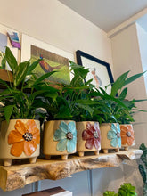 Load image into Gallery viewer, Flower potted plant
