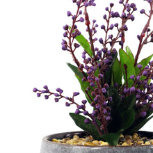 Load image into Gallery viewer, Leaf Design UK LTD - Ceramic Planter Office Desk Plant Purple Vitex Negundo 28cm - Strelitzia&#39;s Florist &amp; Irish Craft Shop