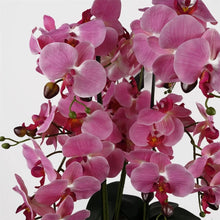 Load image into Gallery viewer, Orchid Pink Marble Effect Ceramic Planter 60cm - Strelitzia&#39;s Florist &amp; Irish Craft Shop