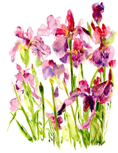 Ping He Art - Purple Iris - Folded Greeting Card - Strelitzia's Florist & Irish Craft Shop