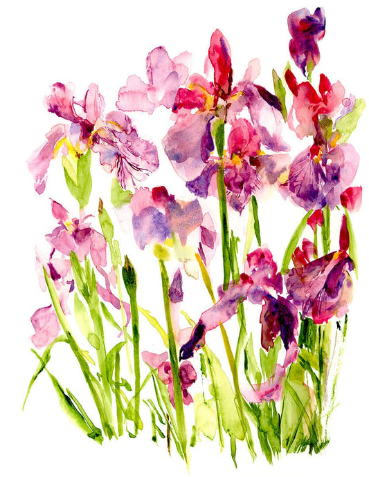 Ping He Art - Purple Iris - Folded Greeting Card - Strelitzia's Florist & Irish Craft Shop