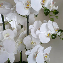 Load image into Gallery viewer, Orchid Artificial White Gold Ceramic Planter 60cm