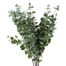 Load image into Gallery viewer, Leaf Design UK LTD - Pack of 6 x Artificial Foliage Eucalyptus Foliage 100cm