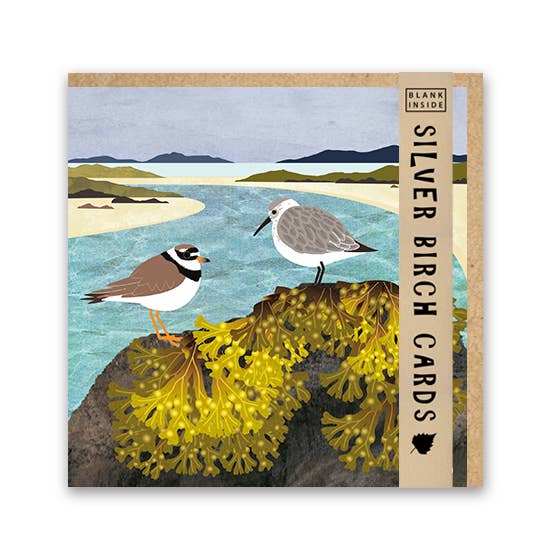 Blank Greeting Card 