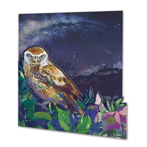 Emma Ball Ltd - Night Owl Die Cut Card - Strelitzia's Florist & Irish Craft Shop