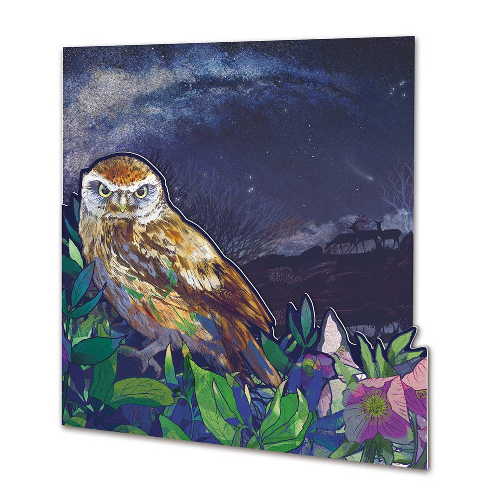 Emma Ball Ltd - Night Owl Die Cut Card - Strelitzia's Florist & Irish Craft Shop