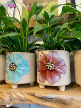 Load image into Gallery viewer, Flower potted plant