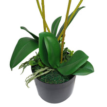 Load image into Gallery viewer, Leaf Design UK LTD - Artificial Orchid Flower 60cm Pink Orchid Arrangement
