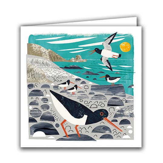 Blank Greeting Card - ''Oystercatchers