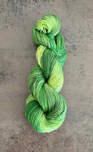 Load image into Gallery viewer, Die Wollwichtel - FAUNA, hand-dyed sock wool in a skein