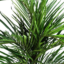 Load image into Gallery viewer, Leaf Design UK LTD - Areca Palm Artificial Tree 130cm  - Realistic plant by Botanik - Strelitzia's Florist &amp; Irish Craft Shop