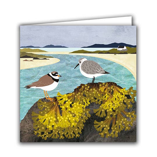 Blank Greeting Card 