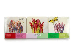 Coasters, Set Of 6, Tulips, Marrel - Strelitzia's Florist & Irish Craft Shop
