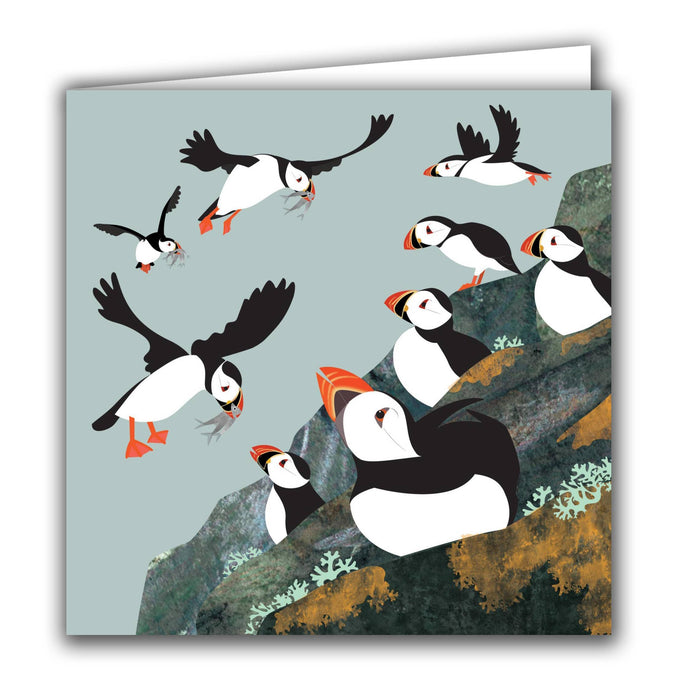 Blank Greeting Card - 'Puffin Colony' - Strelitzia's Florist & Irish Craft Shop