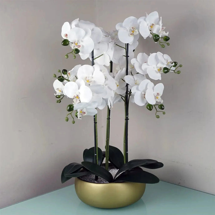 Orchid Artificial White Gold Ceramic Planter 60cm - Strelitzia's Florist & Irish Craft Shop