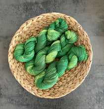 Load image into Gallery viewer, Die Wollwichtel - FAUNA, hand-dyed sock wool in a skein