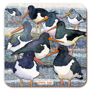 Emma Ball Ltd - Oystercatchers - Single Coaster - Strelitzia's Florist & Irish Craft Shop