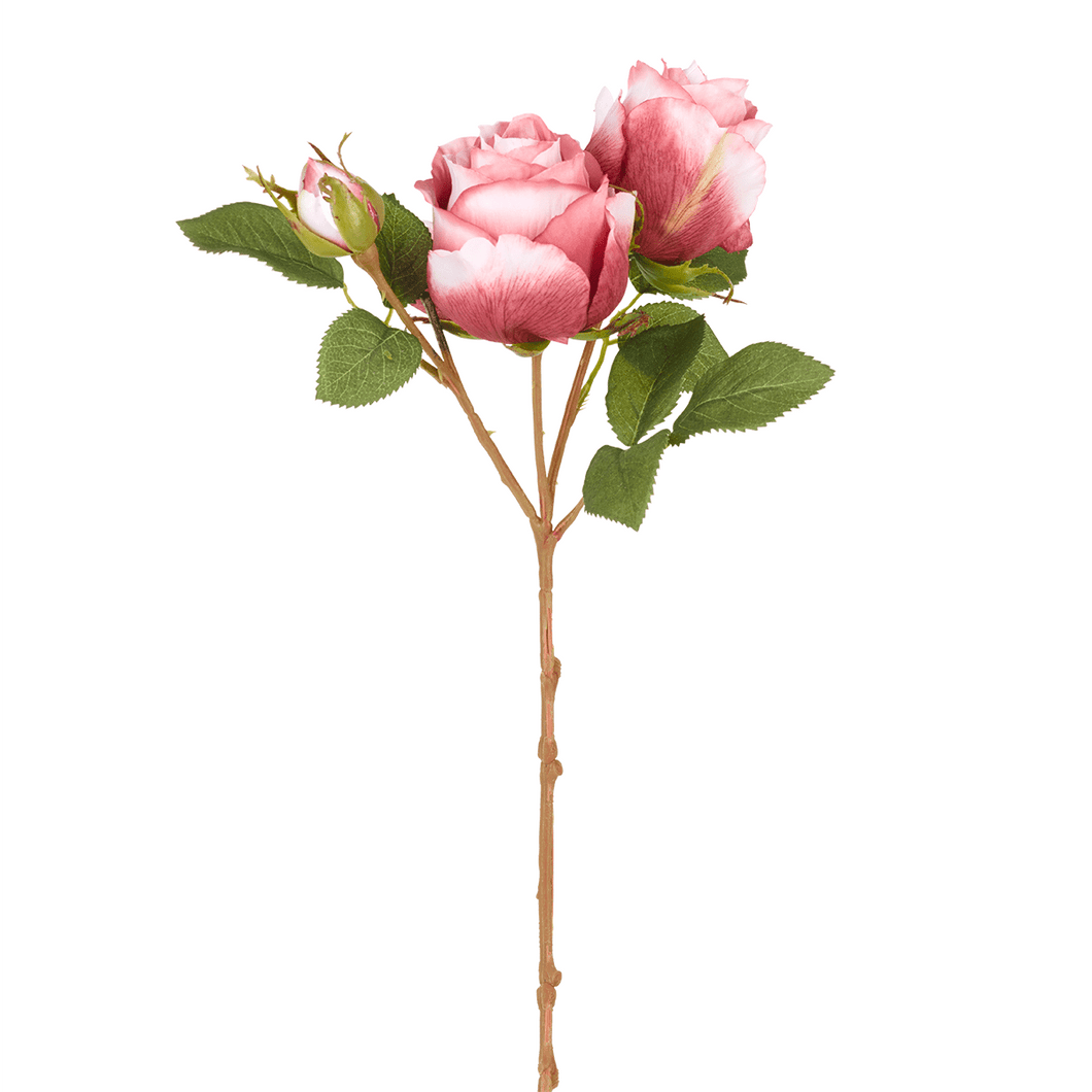 Sia Deco - Deux Roses en branche KATE - Strelitzia's Florist & Irish Craft Shop