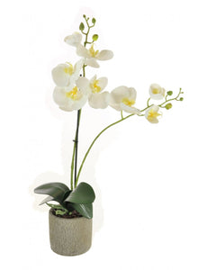 Copy of Lilac & Green Artificial Flower arrangement - Strelitzia's Floristry & Irish Craft Shop