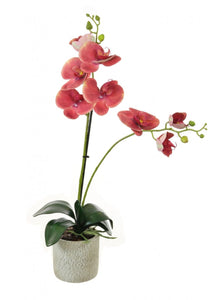 Copy of Lilac & Green Artificial Flower arrangement - Strelitzia's Floristry & Irish Craft Shop