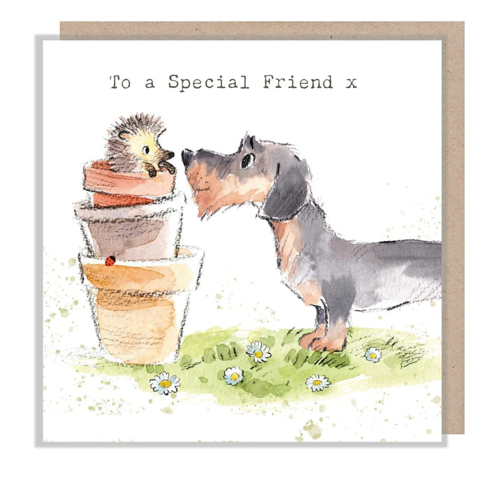 Paper Shed Design Ltd - Special Friend Card - Sausage Dog And Hedgehog - Strelitzia's Florist & Irish Craft Shop