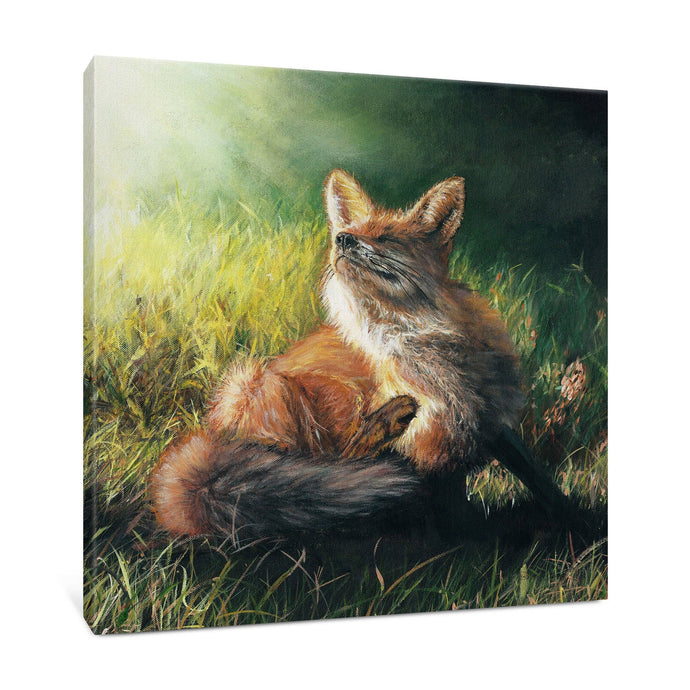 Bree Merryn Art Ltd - Finn Large Box Canvas (26