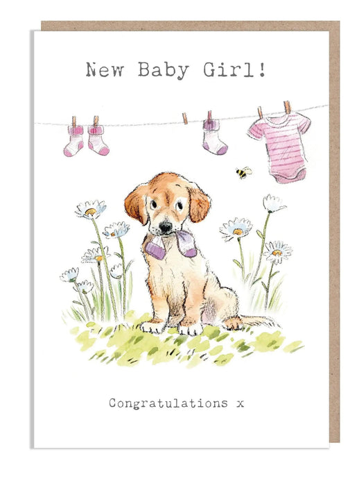 Paper Shed Design Ltd - Baby Girl Card - Congratulation - Labrador - Strelitzia's Florist & Irish Craft Shop