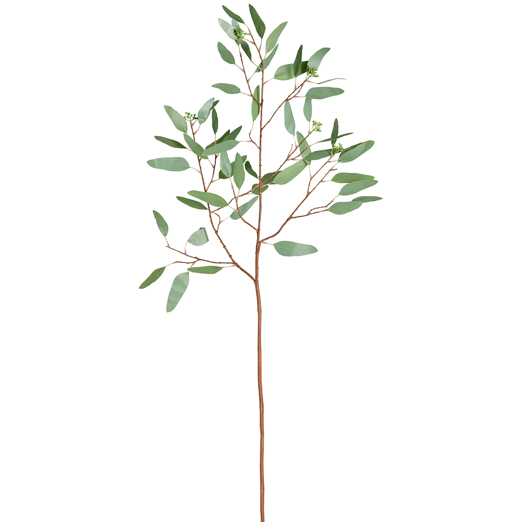 Sia Deco - Eucalyptus et graines h108 - Strelitzia's Florist & Irish Craft Shop