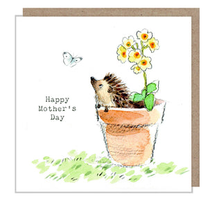 Paper Shed Design Ltd - Mothers Day card - Cute Hedgehog in flower pot - BWMD02 - Strelitzia's Florist & Irish Craft Shop