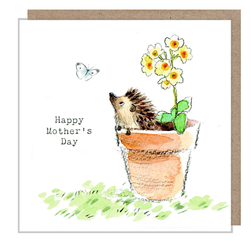 Paper Shed Design Ltd - Mothers Day card - Cute Hedgehog in flower pot - BWMD02 - Strelitzia's Florist & Irish Craft Shop