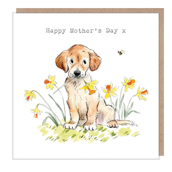 Paper Shed Design Ltd - Cute Mothers Day Card - Happy Mothers Day - Golden Labrador - Strelitzia's Florist & Irish Craft Shop